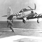 British Sea Furies and MiGs in Korea