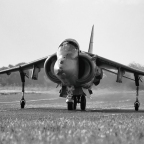 Harriers Could Gain the Upper Hand in a Dogfight by Literally Stopping Midair